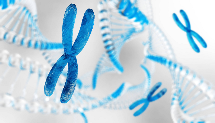 私たちの遺伝情報が刻まれている染色体がもつ「謎」とは？（写真：Shutterstock.com）