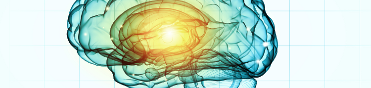 脳を鍛えて、健康に年を取る！「脳トレ」とスマート・エイジングの可能性を川島教授、大いに語る【MYCODEセミナーレポート】の画像