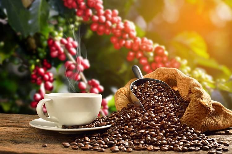 コーヒーは飲み物の印象が強いですが・・・（写真：Shutterstock.com）