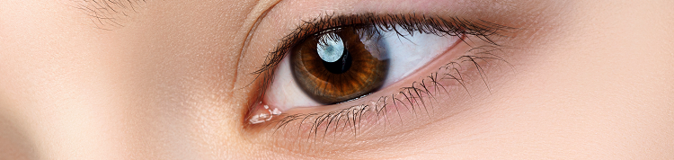 【認定遺伝カウンセラーコラム】目の病気も遺伝子変異が影響しているの？！の画像