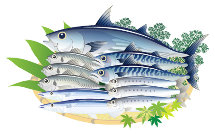 健康に良いとされる魚、いつもの食事に適度に取り入れるようにしたいですね（写真：Shutterstock.com）