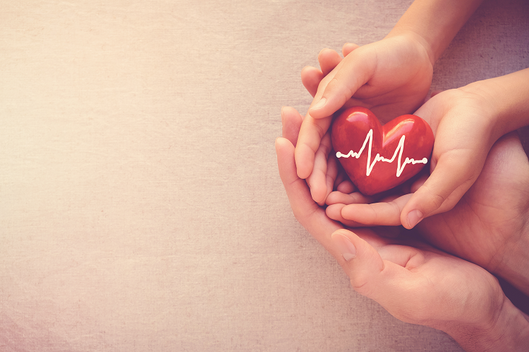 肝臓の値が心臓の健康リスクと関連！？（写真：Shutterstock.com)