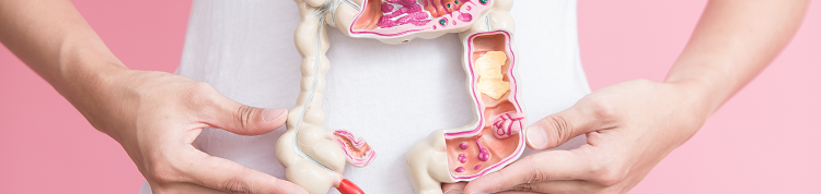 【管理栄養士コラム】増加傾向にある「大腸がん」対策をしよう！（検査結果を復習）の画像