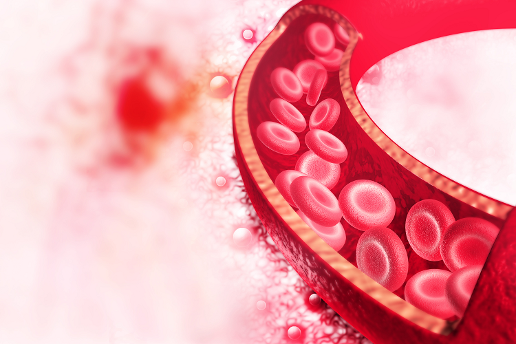 赤血球の形状が貧血に関係しているってご存知ですか？（写真：Shutterstock.com）