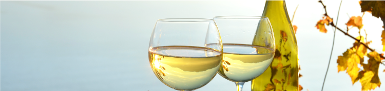 赤が好き？それとも白？ワインの中でも特に白ワイン好きに共通する遺伝子とはの画像